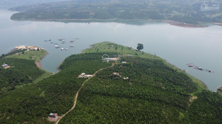 6000m2 view sông Đồng Nai. 200m2 thổ cư, đường ô tô tới đất