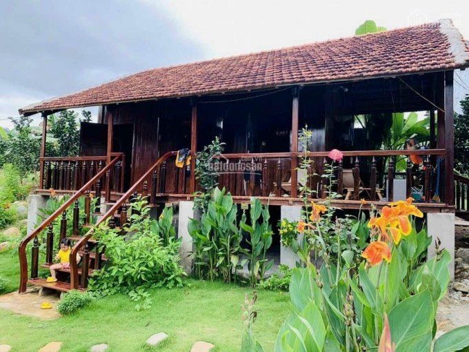 Cần bán hai lô đất liền kề 1,4ha view sông xã Khánh Lê, LH 0935727456