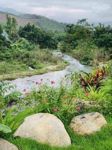 Cần bán hai lô đất liền kề 1,4ha view sông xã Khánh Lê, LH 0935727456