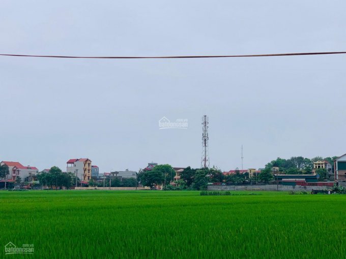Siêu mẫu 150m2 (10x15m) đất giãn dân bìa làng Hương Trầm, Thụy Lâm, Đông Anh, đường rộng 7m