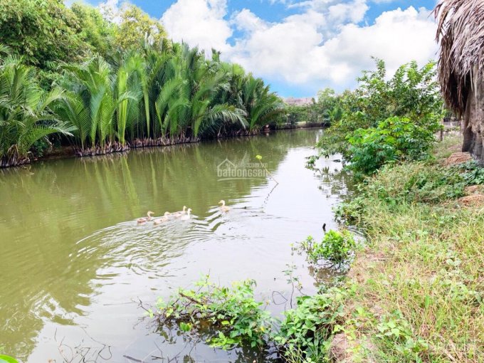 Đất view sông Phước Khánh, đất làm nhà vườn giá chọn lọc. đầu tư cam kết lợi nhuận