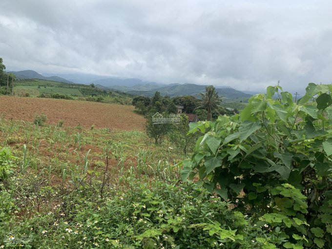 Bán đất Cao Phong, Hoà Bình - 4700m2 view cao thoáng, giá chỉ mấy trăm triệu