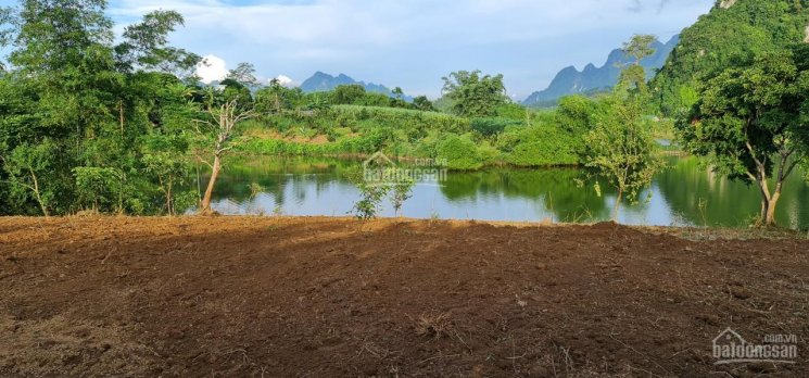 Bán đất bám mặt hồ Kim Bôi, Hòa Bình, Việt Nam