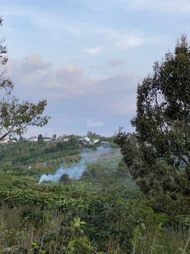 Bán nhanh lô đất đẹp nhất Lộc Thành, ngay Bảo Lộc, Lâm Đồng, cam kết giá đầu tư tốt nhất thị trường