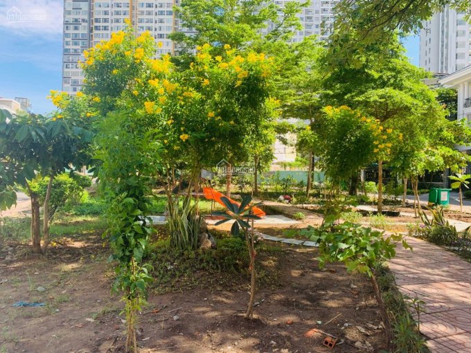 Chính chủ bán lô đất MT view công viên KDC La Casa Hoàng Quốc Việt, Q7, DT 167m2, SHR, giá 12.5 tỷ