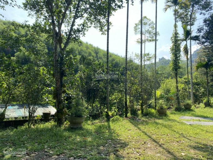 Chính chủ gửi bán mảnh đất khuôn viên hoàn thiện diện tích 4ha tại Kỳ Sơn, Hòa Bình