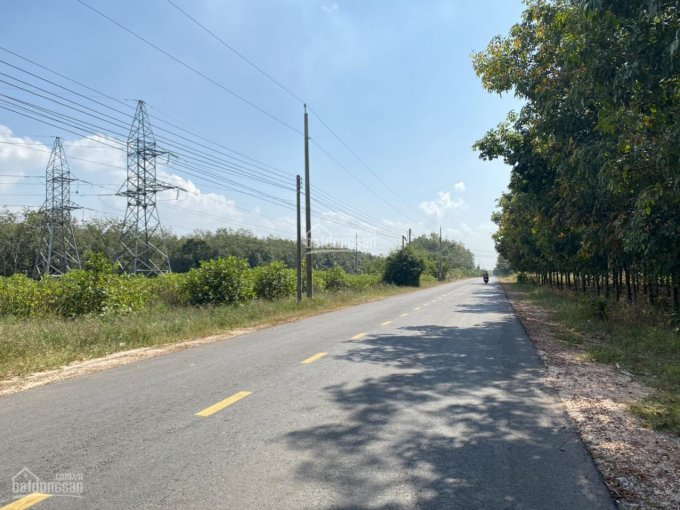 Cần tiền bán gấp mảnh đất mặt tiền đường ĐT 744, xã Minh Hòa, huyện Dầu Tiếng