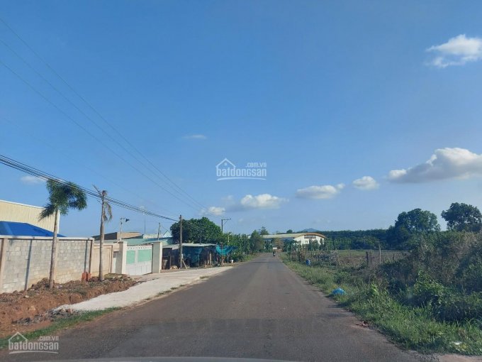 Cần bán lô đất chính chủ ngay bên hông nhà diện tích 1000m2, mặt tiền đường Chính Phước Bình 32m