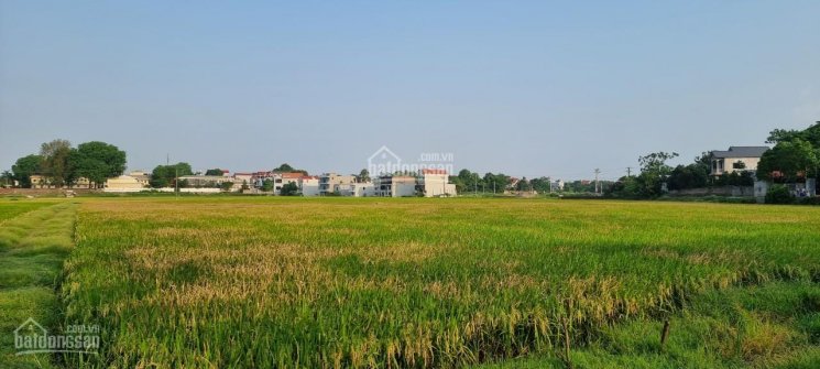 Bán đất Chương Mỹ 1211m2, đường to, view cánh đồng, giá đầu tư, thuộc địa phận xã Hoàng Văn Thụ