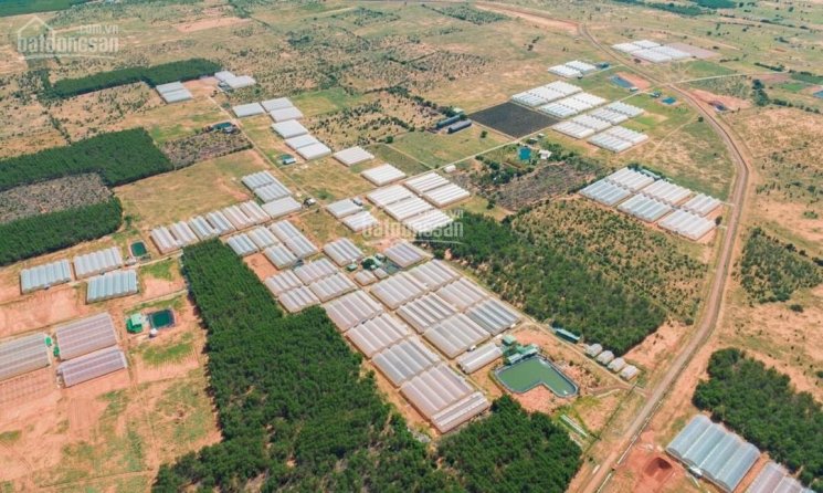 Bán lô đất vườn sổ đỏ ngay cạnh khu Safari, liên huyện, trang trại dưa lưới chỉ 538 triệu