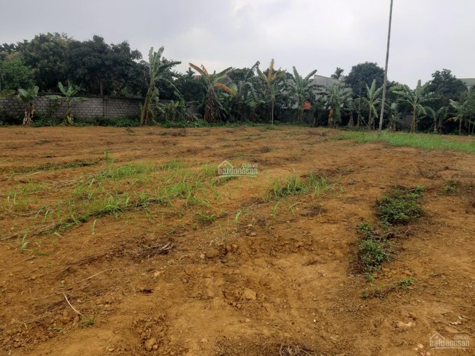 Cần bán nhanh lô đất 1300m2, 200m2 thổ cư tại thôn Hạnh Côn, xã Nam Phương Tiến, Chương Mỹ, HN