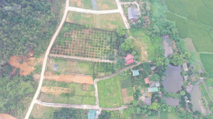 Đất Đồng Chằm, Đông Xuân, Quốc Oai - vuông vắn nở hậu 700m2 - 2 ô tô tránh - view đồng lúa