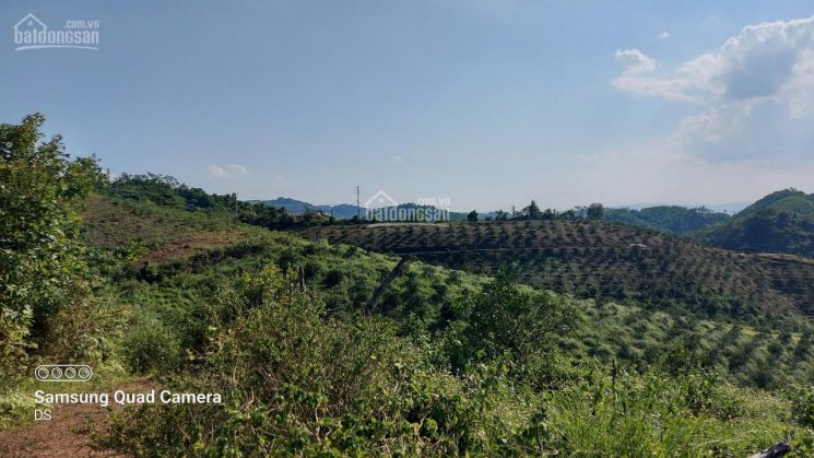 Bán 10ha đất RSX tại Yên Lập, Cao Phong thế đất thoải view thoáng sổ đỏ đầy đủ pháp lý rõ ràng