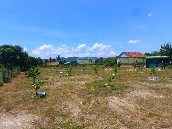 Bán đất vườn tại thôn 1 xã Mỹ Đức, Huyện Đạ Tẻh, tỉnh Lâm Đồng