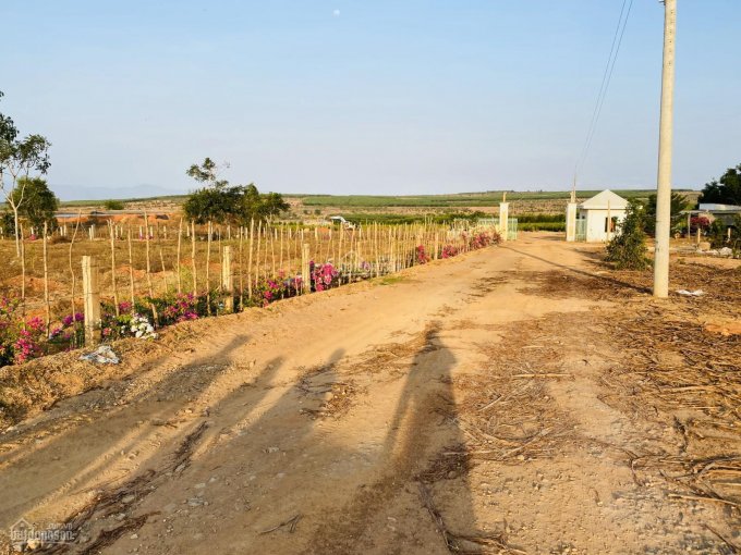 Bán đất huyện Bắc Bình, Bình Thuận. Đất đã có sổ đỏ sẵn bao sang tên và công chứng
