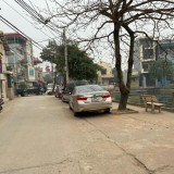 Có 55m2 ao sen sát công làng Đại Áng, Thanh Trì
