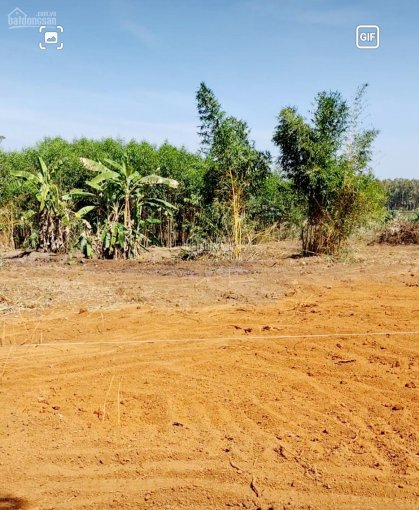 Bán đất vườn tại xã Láng Lớn, huyện Châu Đức, BRVT, DT: 3000m2 giá 700 triệu / 1000m2LH: 0707239439