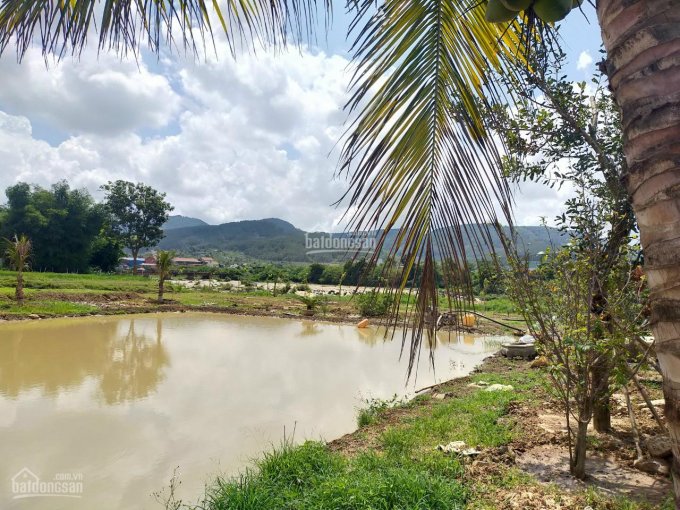 Đất view sông Đa Nhim, view nghỉ dưỡng
