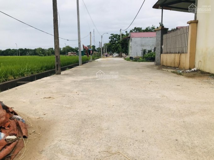 Siêu mẫu 150m2 (10x15m) đất giãn dân bìa làng Hương Trầm, Thụy Lâm, Đông Anh, đường rộng 7m
