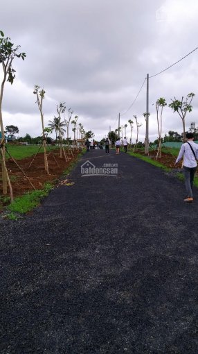 Bán lô đất hẻm mặt tiền đường Lý Nam Đế, gần làng đại học phường 10, TP Đà Lạt