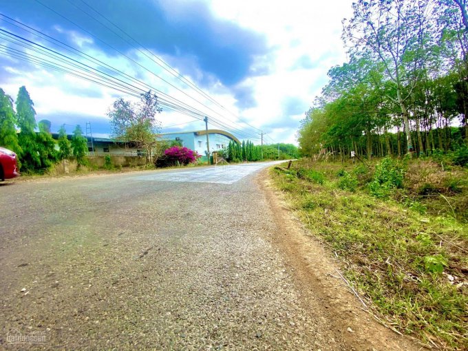 Đất mặt tiền đường Ấp 7, xã Phước Bình - Long Thành
