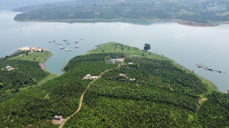 6000m2 view sông Đồng Nai. 200m2 thổ cư, đường ô tô tới đất