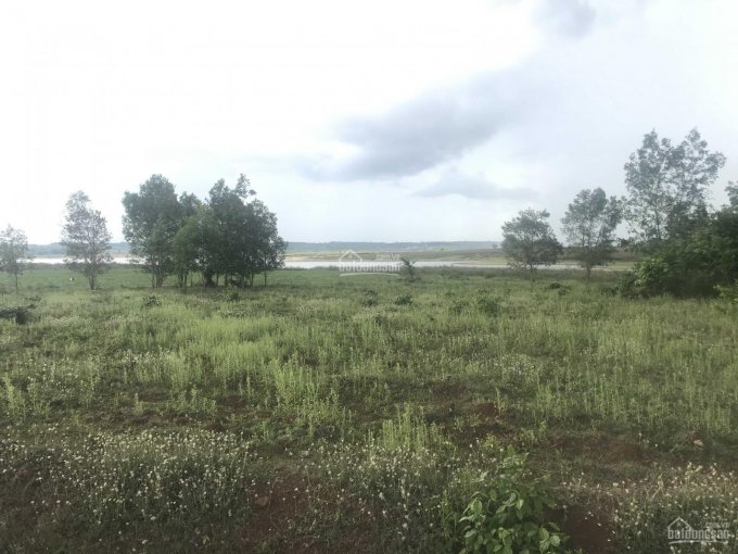Đất view hồ Sông Ray xã Sơn Bình - Châu Đức - BRVT
