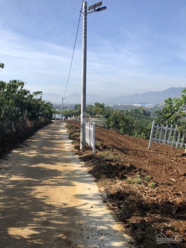 Bảo Lộc đất vườn trung tâm 2,5 tr/m2 có dịch vụ lên thổ cư đất sườn đồi, view cao thoáng đẹp