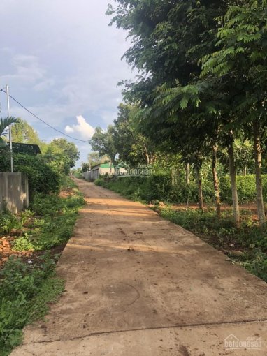 Bán đất Y Wang thôn Cao Thắng, xã Ea Kao, Buôn Ma Thuột. 6*40m giá chỉ 300 triệu