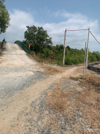 Bán gấp lô đất trồng cây lâu năm xã Lý Nhơn huyện Cần Giờ TPHCM giá rẻ