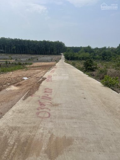 Chính chủ bán đất nền tại Chơn Thành, Bình Phước. DT 250m2, cách TP. HCM 90km, giá dự kiến 525tr