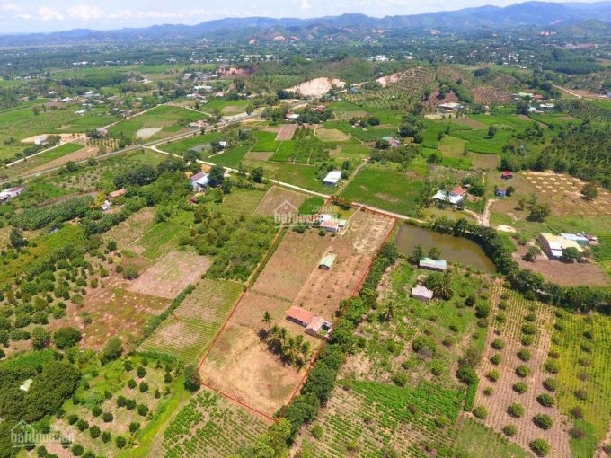 Bán đất vườn tại thôn 1 xã Mỹ Đức, Huyện Đạ Tẻh, tỉnh Lâm Đồng