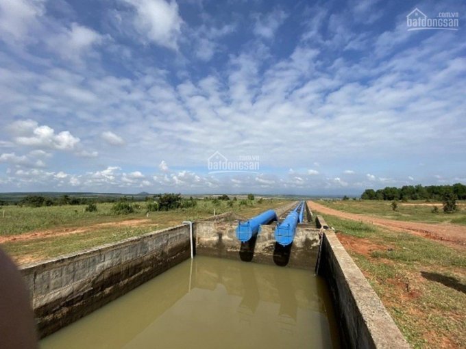 Bán đất trồng cây lâu năm Hoà Thắng cạnh farm dưa lưới có sẵn điện nước 150 nghìn/m2 0938 677909