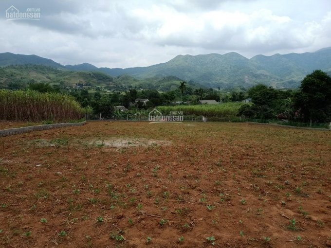 Bán đất tại huyện Cao Phong, tỉnh Hòa Bình diện tích 2000m2