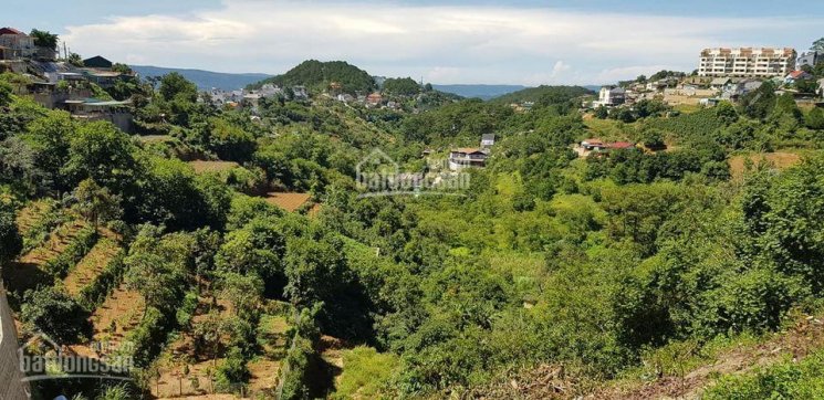 Lô đất xây dựng view thung lũng rừng thông đường ô tô - Hoàng Hoa Thám, Đà Lạt