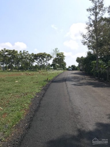 Cần bán đất Lộc Nga, đường Nguyễn Huy Tưởng gần trường Bùi Thị Xuân - Bảo Lộc - Lâm Đồng