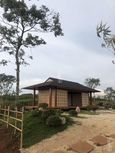 Gia đình cần bán 1,5 ha trồng cafe tại thôn 4 Lộc Quảng, cạnh khu dự án biệt thự Sun Valley