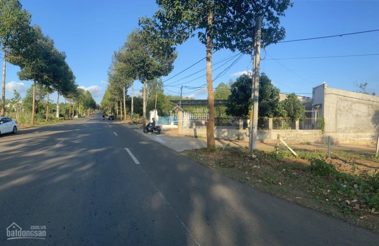 6 mẫu 3 Láng Lớn, gần cổng chào Châu Đức, MT 6m betong cách nhựa 100m