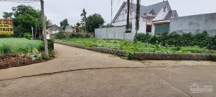 Tài chính hơn 1 tỷ chút có ngay siêu phẩm lô góc 100m tại Hòa Trúc, Hòa Thạch, Quốc Oai