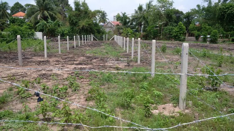 Cần bán lô đất chính chủ tại Lộc Ninh - Tây Ninh