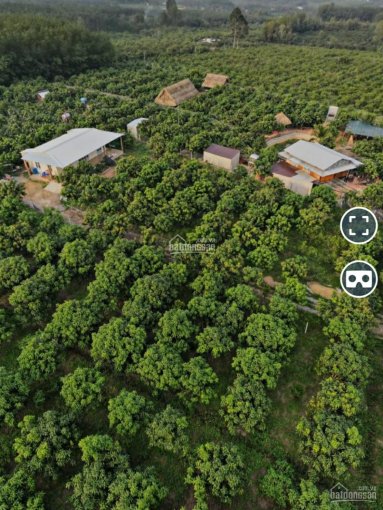 Đất vườn nghỉ dưỡng hoặc farm gần trung tâm Định Quán, sát QL20, giá chỉ 350tr/1000m2