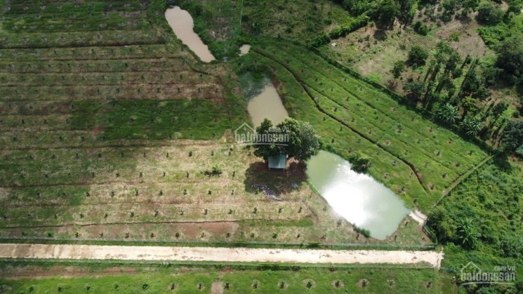 6 mẫu 3 Láng Lớn, gần cổng chào Châu Đức, MT 6m betong cách nhựa 100m
