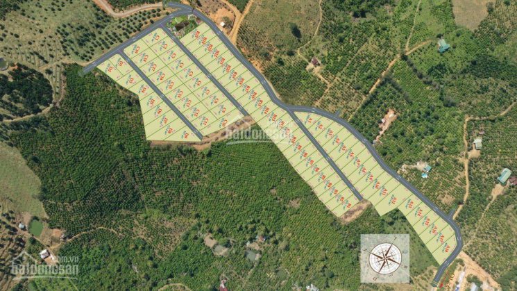 Chỉ từ 568 tr sở hữu lô đất sổ đỏ 500 m2, nghỉ dưỡng ngay Bảo Lộc trao tay dự án Medi Ecovill