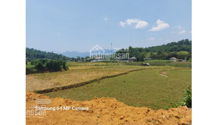 Chính chủ gửi bán lô đất rộng 2500m2 tại Tân Lạc phù hợp đầu tư sinh lời, làm nghỉ dưỡng