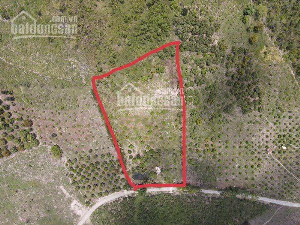 Bán nhanh 5.730m2 ngay trạm dừng chân Diên Thọ, cách QL27C 500m
