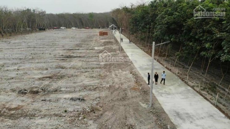 Bán đất Chơn Thành, Bình Phước DT 10x55m 100m2 TC nằm gần 2 đường lớn đang đổ nhựa dân cư đông đúc