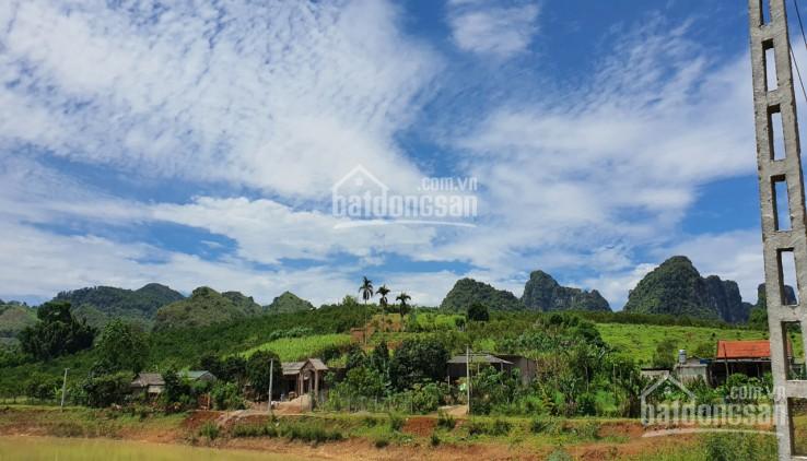 Bán thổ cư 6000m2 đất Cao Phong full cam view đẹp khu vực Cao Phong, Hòa Bình