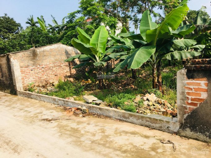 Bán gấp 135m2 thổ cư ở Chương Dương, Thường Tín giá rẻ. LH 0917.366.060