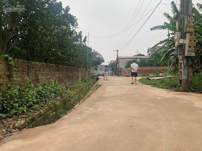 Chính chủ bán 105.5m2 đất xã Thắng Lợi - Văn Giang, đường 5m