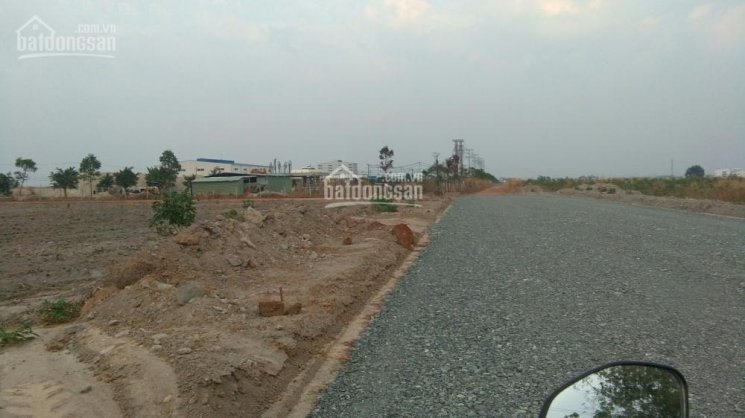 Cần bán 5 lô đất sào 1100m2 giá mỗi lô từ 420tr đến 480tr SHR tại Tân Hưng, giá tốt nhất khu vực